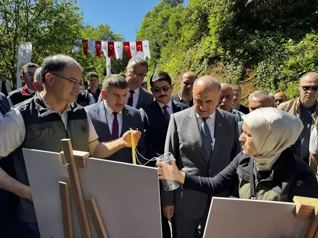 Ordu'da Kestane Ormanlarına Faydalı Böcek Bırakıldı