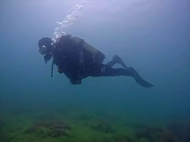 Kastamonu'da Ginolu Limanı ve koyunda temizlik yapıldı