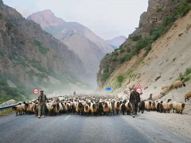 Göçerler Hakkari'ye ulaştı