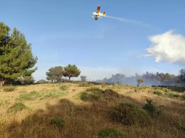 Çanakkale'nin Bayramiç ilçesinde orman yangını kontrol altına alındı