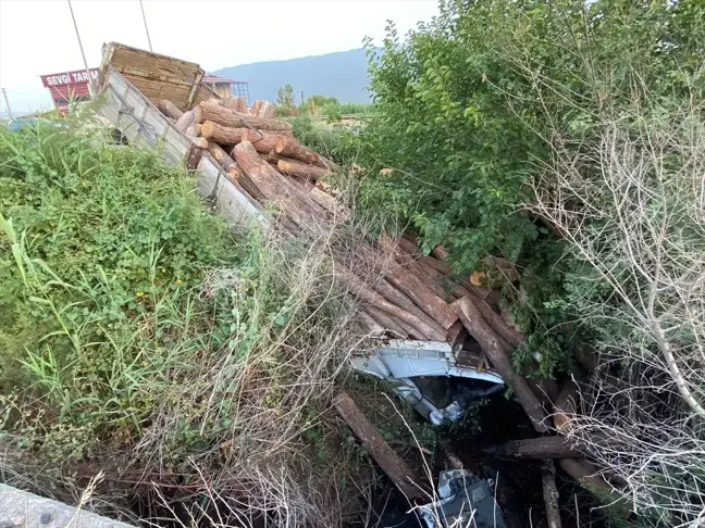 Aydın'da Tomruk Yüklü Kamyon Şarampole Devrildi: Sürücü Ağır Yaralandı