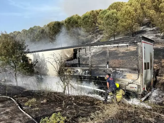 Balıkesir'deki arazi ve orman yangınları söndürüldü