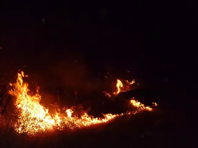 Bilecik'te Ormanlık Alanda Çıkan Yangın Söndürüldü