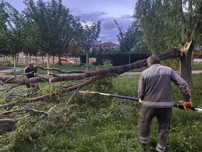 Çorum'da Şiddetli Rüzgar ve Sağanak Sonucu 3 Ağaç Devrildi, 1 Binanın Çatısı Uçtu