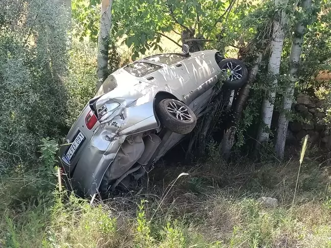 Köpeğin Yola Çıkması Sonucu Meydana Gelen Kazada Sürücü Yaralandı