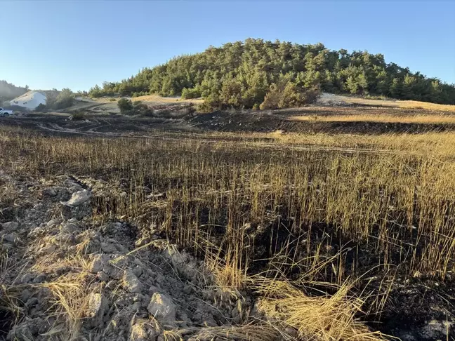 Balıkesir'deki Orman Yangınına Havadan ve Karadan Müdahale Devam Ediyor