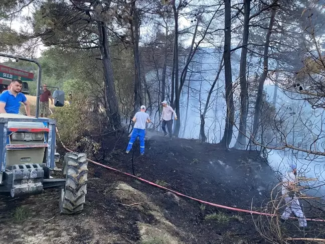 Sakarya'da Orman Yangını: 5 Hektarlık Alan Zarar Gördü