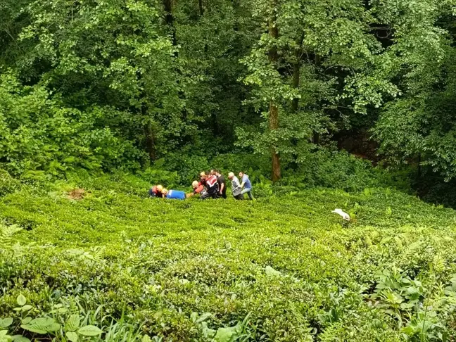 Rize'de dereye yuvarlanan kişi yaralandı