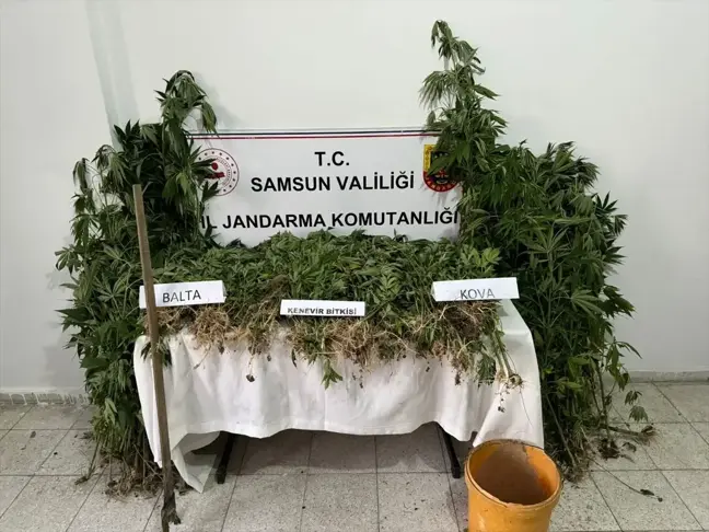 Samsun'da Uyuşturucu Operasyonu: 1 Şüpheli Gözaltına Alındı