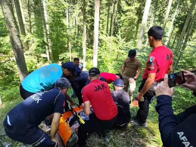 Kastamonu'da Kayıp Kadın Ormanda Bulundu