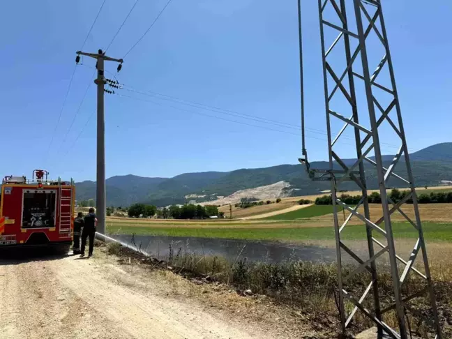 Bolu'da trafodan çıkan kıvılcımlar tarlayı küle çevirdi