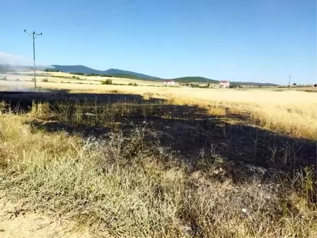 Sinop'ta buğday tarlasında çıkan yangın kontrol altına alındı