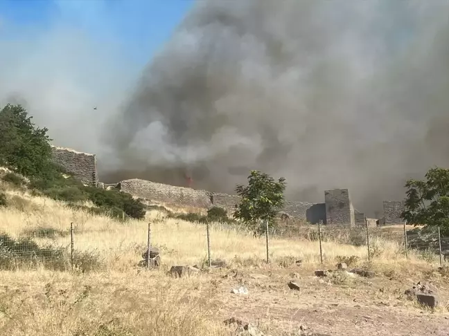 Çanakkale'de Assos Antik Kenti yakınlarında yangın çıktı