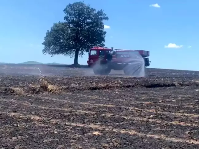 Balıkesir'de buğday ekili tarlada yangın çıktı