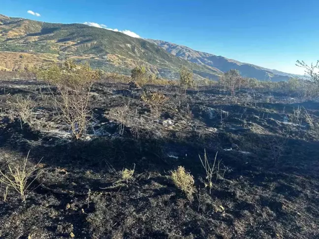 Elazığ'da çıkan yangın kayısı bahçelerine sıçradı