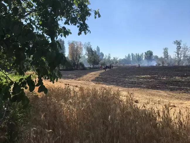 Eskişehir'de çıkan yangında buğday tarlası ve meyve ağaçları zarar gördü