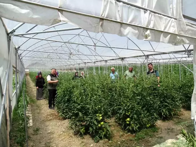 Zonguldak Orman Bölge Müdürlüğü, Eskipazar'da seracılık kredisi verdi