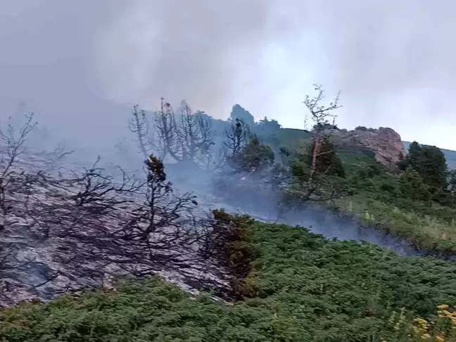 Tunceli'de ağaçlık alanda çıkan yangın söndürüldü