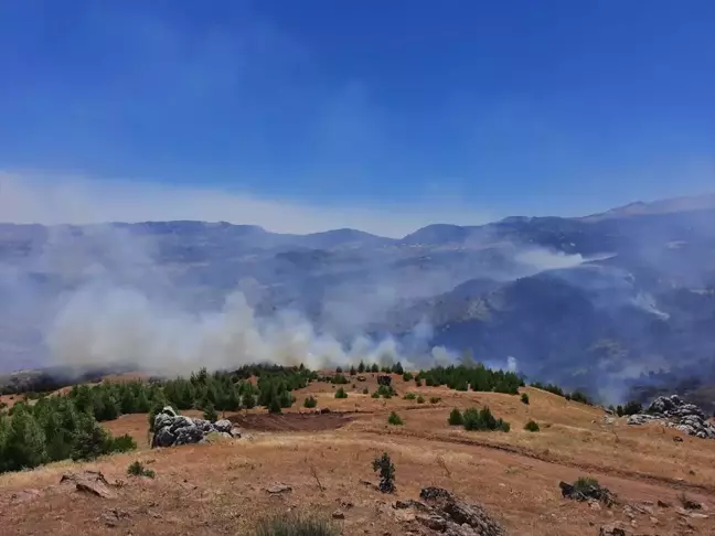 Adıyaman'ın Gerger ilçesindeki örtü yangını söndürüldü