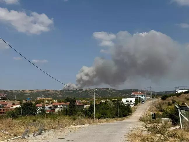 Balıkesir'de Orman Yangını Söndürme Çalışmaları Başlatıldı