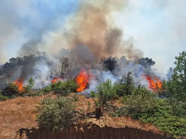 Bingöl'ün Genç ile Kiğı ilçelerinde çıkan orman yangınları söndürüldü