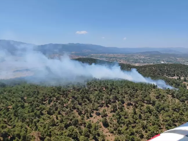 Balıkesir'in Sındırgı ilçesinde orman yangını çıktı