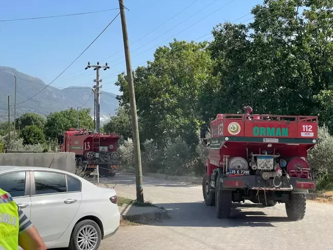 İzmir'in Tire ilçesinde ormanlık ve makilik alanda yangın çıktı