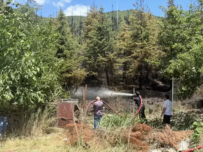 Kocaeli Körfez'de Anadolu Otoyolu kenarında çıkan yangın söndürüldü