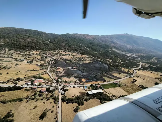 Aydın'da Zeytinlikte Çıkan Yangında 20 Dönüm Arazi Zarar Gördü