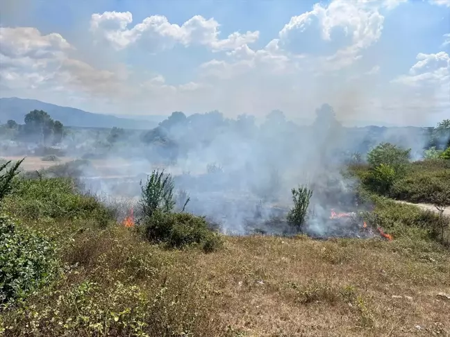 Sakarya'nın Hendek ilçesinde çalılık alanda çıkan yangın söndürüldü