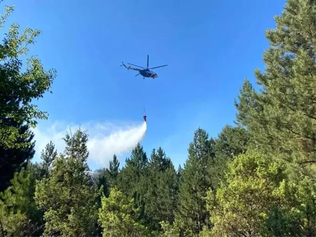 Kütahya'da çıkan orman yangını büyümeden söndürüldü