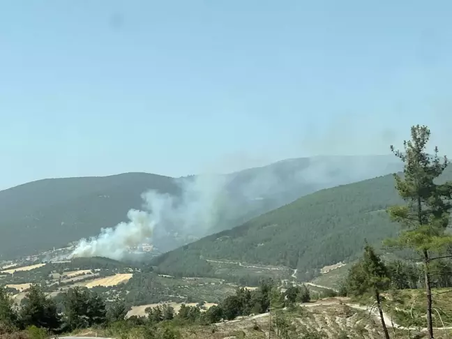 Balıkesir'de Orman Yangını: Havadan ve Karadan Müdahale Ediliyor