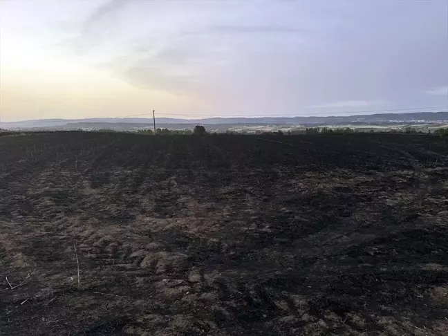 Kastamonu'da çıkan yangında 25 dekarlık arpa ekili alan tamamen yandı