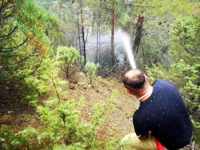 Karabük'ün Ovacık ilçesinde yıldırım düşmesi sonucu çıkan orman yangını kısmen kontrol altına alındı