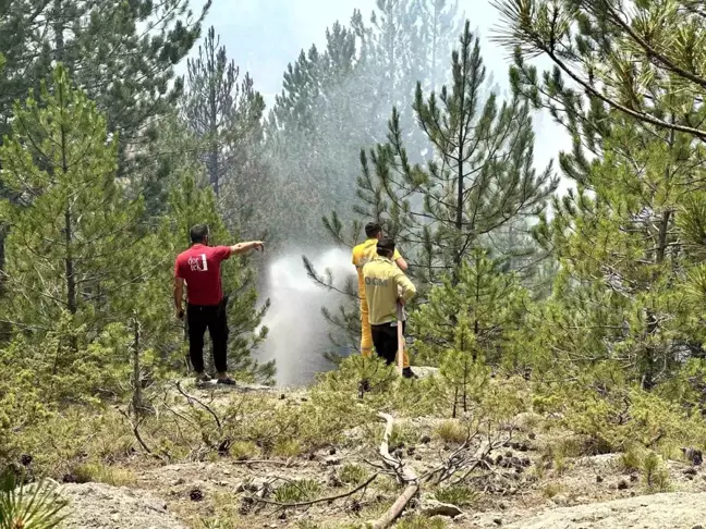 Kastamonu'daki orman yangınları kontrol altına alındı