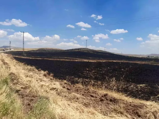 Sivas'ın Gemerek ilçesinde 70 dönümlük arpa ekili alan yanarak kül oldu