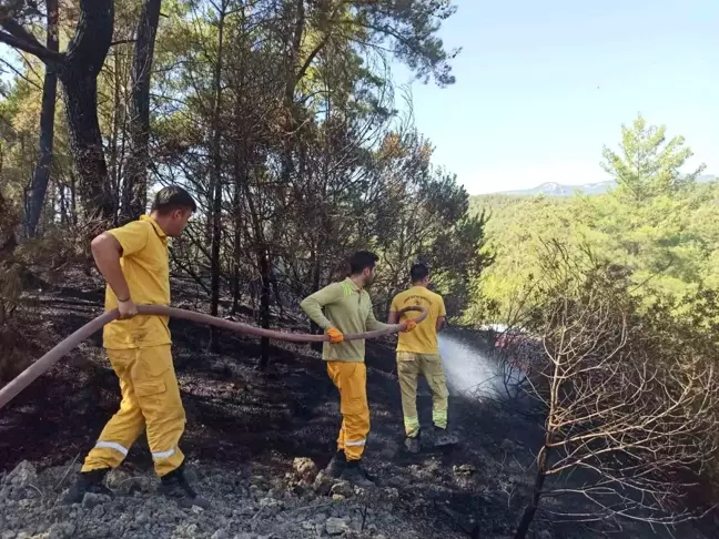 Muğla'da çıkan yangın kontrol altına alındı