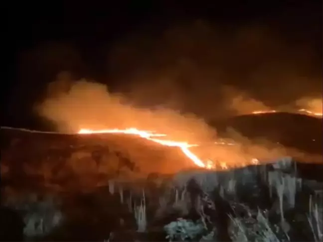 Siirt'te anız yangını kontrol altına alındı