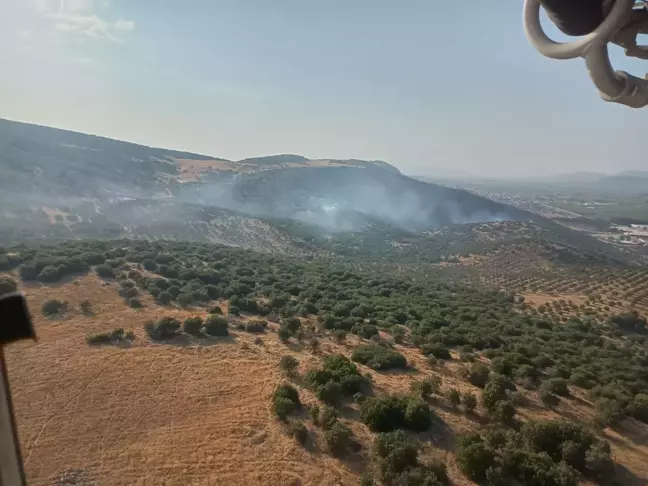 Manisa'da çıkan maki yangını kontrol altına alındı