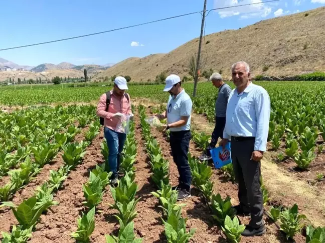 Adıyaman'da Tütün Hastalığı Taraması Yapıldı