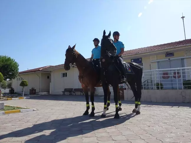 Ayvalık Sarımsaklı Plajları'nda Atlı Jandarma Birliği Göreve Başladı