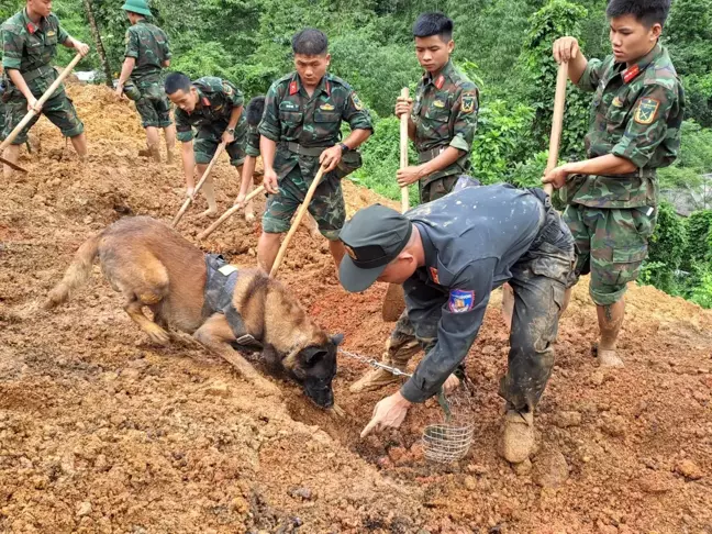 Vietnam'da toprak kayması sonucu dokuz kişi hayatını kaybetti