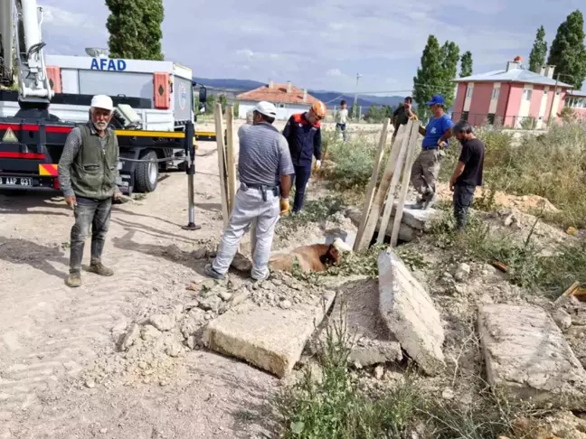 Sivas'ta Mahsur Kalan İnek Kurtarıldı