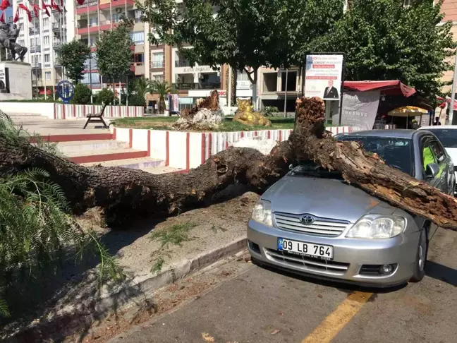 Ağaç, Park Halindeki Otomobile Zarar Verdi