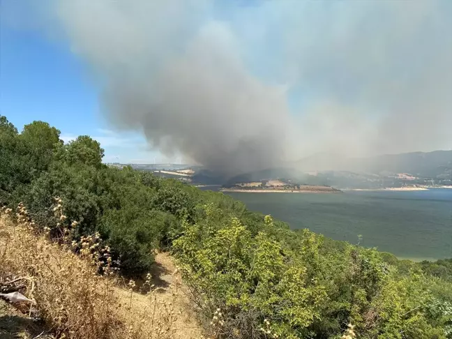 Çanakkale'de Tarım Arazisinde Çıkan Yangına Müdahale Ediliyor