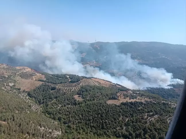 Hatay'ın Belen ilçesinde ormanlık alanda çıkan yangın kontrol altına alınıyor