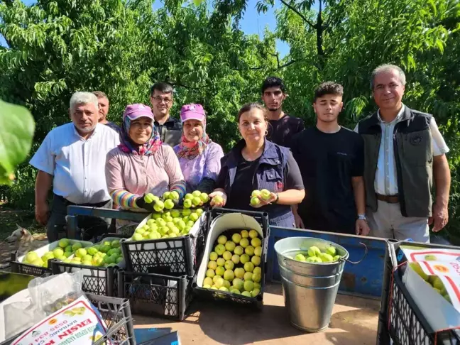 Çanakkale'nin Bayramiç ilçesinde Bayramiç beyazı nektarının üretimi bekleniyor