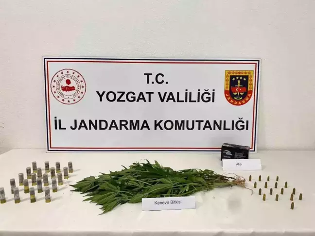 Yozgat'ta Kenevir ve Tabanca Mermisi Ele Geçirildi