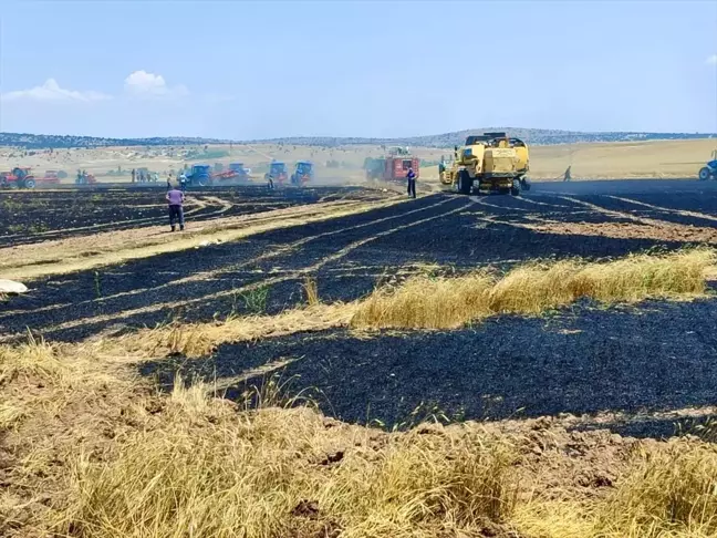 Eskişehir'de Tarım Arazisinde Çıkan Yangın Kontrol Altına Alındı