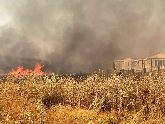 Foça'da çıkan yangın kontrol altına alınmaya çalışılıyor